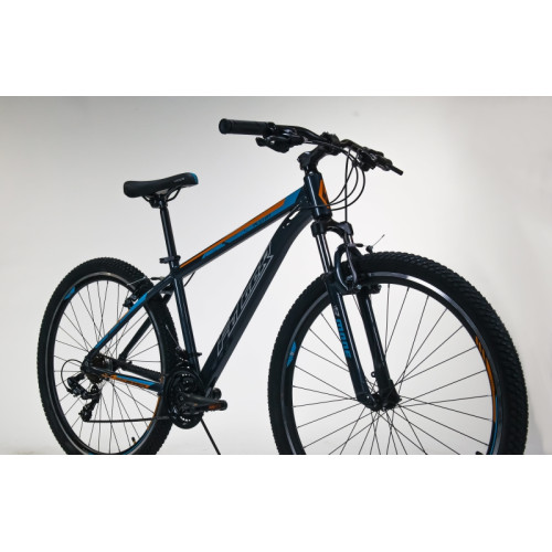 Bicicleta - MTB Fulger Pluton 29/21v