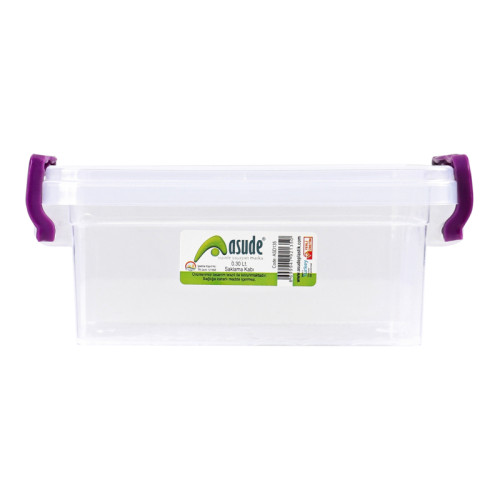 Container 0.3 L