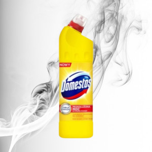 Domestos Citrus Fresh 750ml