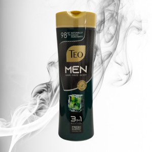 Teo Sampon 350 ml Beaty Men Fresh Energy